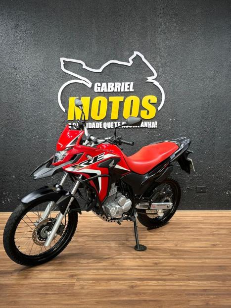 HONDA XRE 300 RALLY ABS, Foto 4