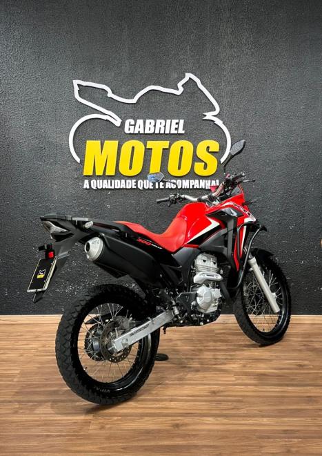 HONDA XRE 300 RALLY ABS, Foto 5