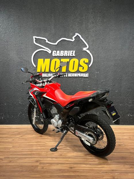 HONDA XRE 300 RALLY ABS, Foto 6