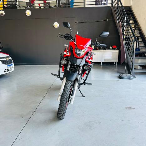HONDA XRE 300 RALLY ABS, Foto 5