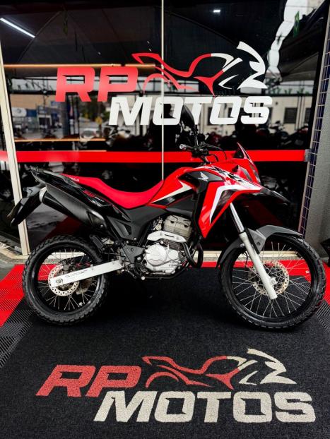 HONDA XRE 300 RALLY ABS, Foto 1