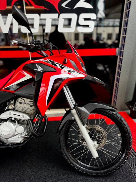 HONDA XRE 300 RALLY ABS, Foto 3