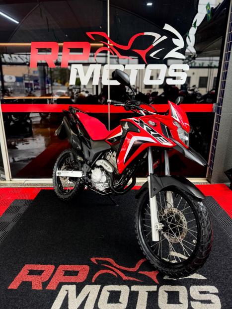 HONDA XRE 300 RALLY ABS, Foto 5
