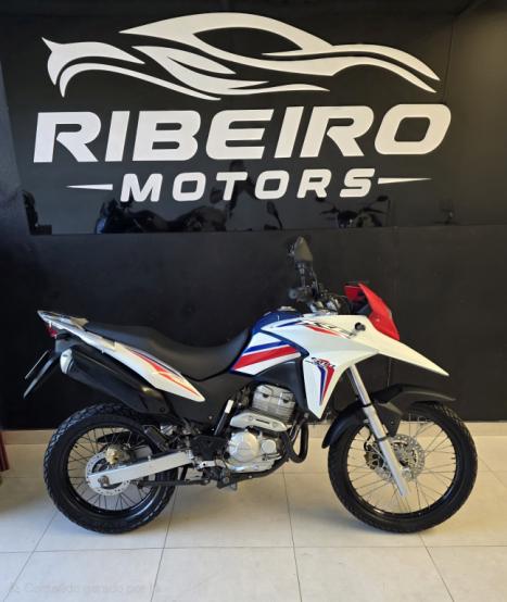 HONDA XRE 300 RALLY ABS, Foto 3