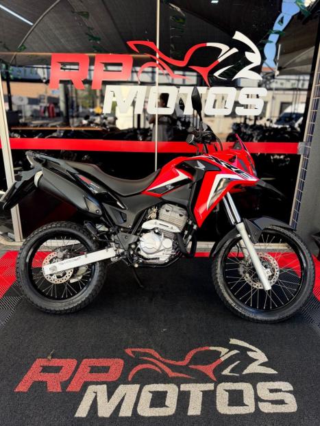 HONDA XRE 300 RALLY ABS, Foto 1