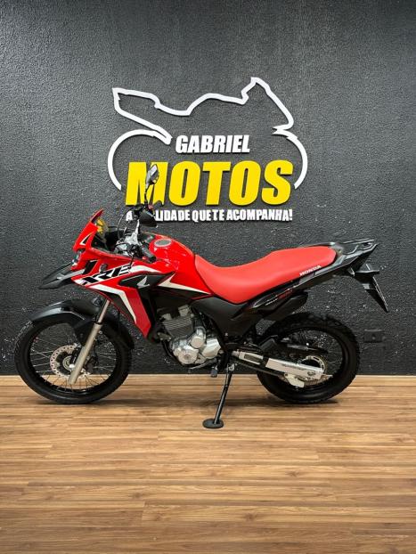 HONDA XRE 300 RALLY ABS, Foto 2