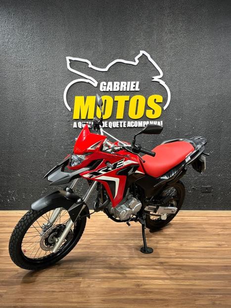 HONDA XRE 300 RALLY ABS, Foto 4