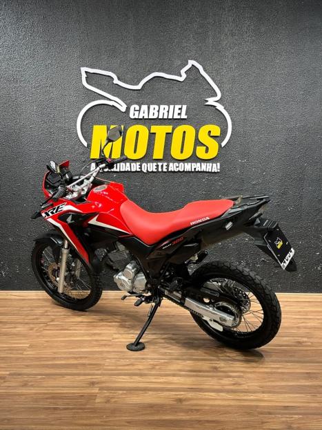 HONDA XRE 300 RALLY ABS, Foto 5