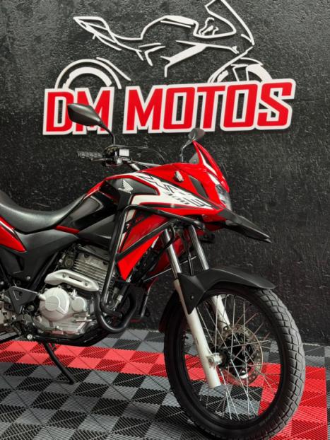 HONDA XRE 300 RALLY ABS, Foto 4