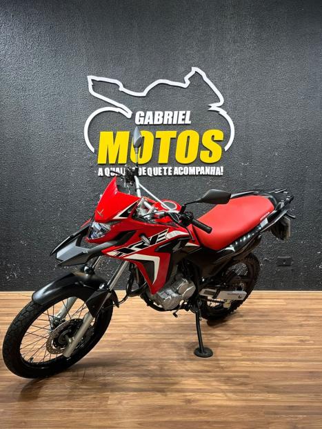 HONDA XRE 300 RALLY ABS, Foto 4