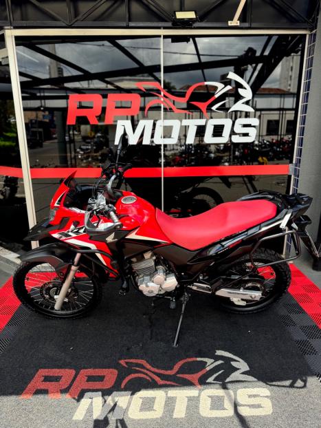 HONDA XRE 300 RALLY ABS, Foto 4