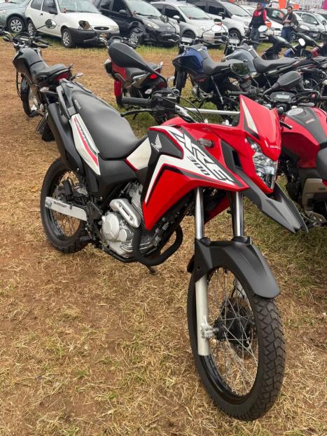 HONDA XRE 300 RALLY ABS, Foto 2