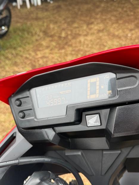 HONDA XRE 300 RALLY ABS, Foto 3