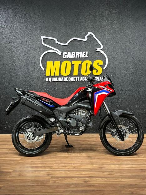 HONDA XRE 300 Sahara RALLYE, Foto 1