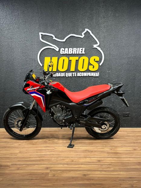 HONDA XRE 300 Sahara RALLYE, Foto 2