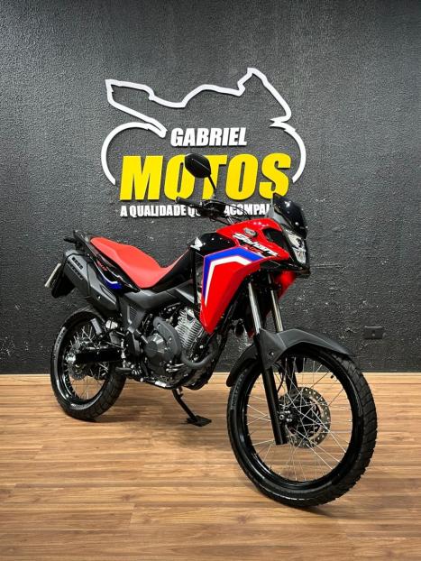 HONDA XRE 300 Sahara RALLYE, Foto 3