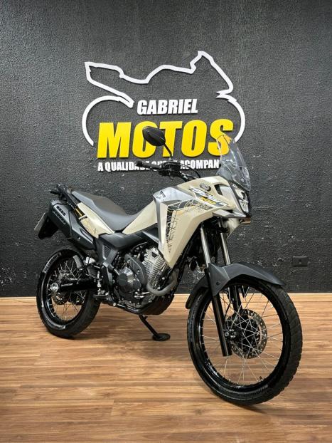 HONDA XRE 300 Sahara ADVENTURE, Foto 3