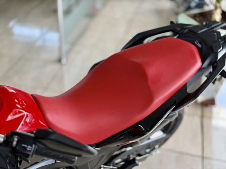 HONDA XRE 300 Sahara RALLYE, Foto 7