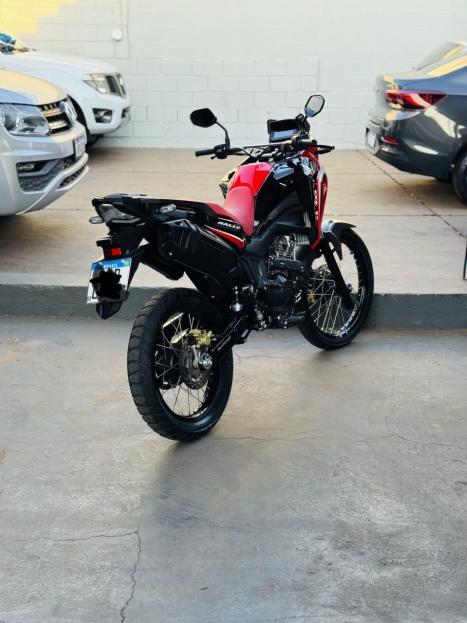 HONDA XRE 300 Sahara RALLYE, Foto 2