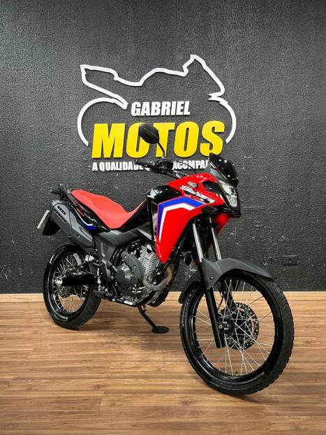 HONDA XRE 300 Sahara RALLYE, Foto 3