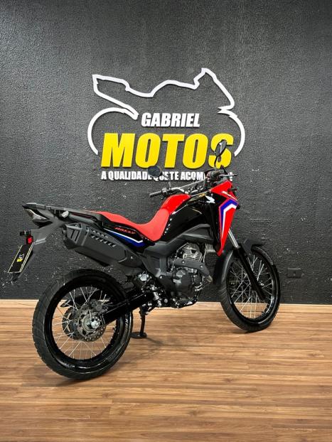 HONDA XRE 300 Sahara RALLYE, Foto 5