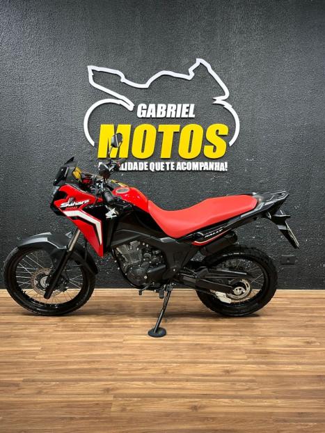 HONDA XRE 300 Sahara RALLYE, Foto 2