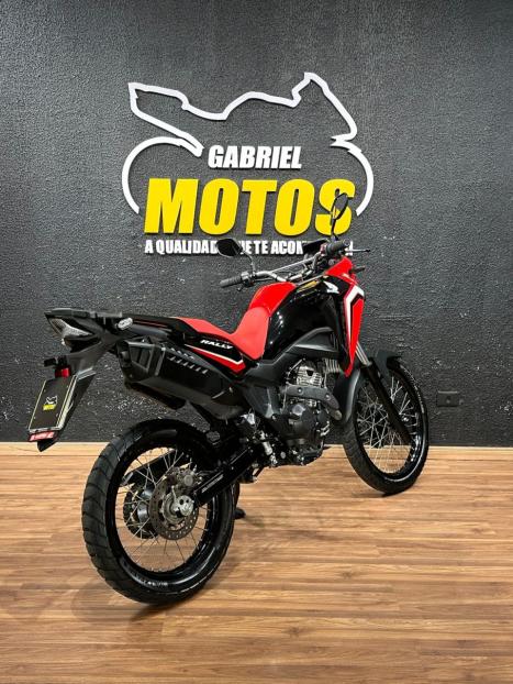 HONDA XRE 300 Sahara RALLYE, Foto 6