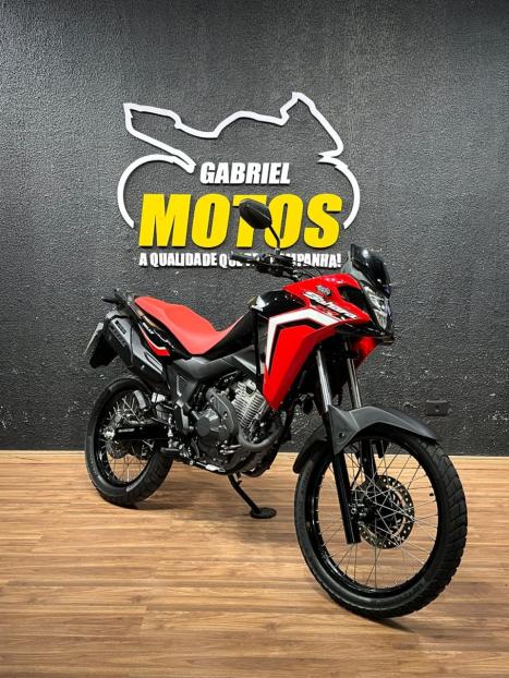 HONDA XRE 300 Sahara RALLYE, Foto 3