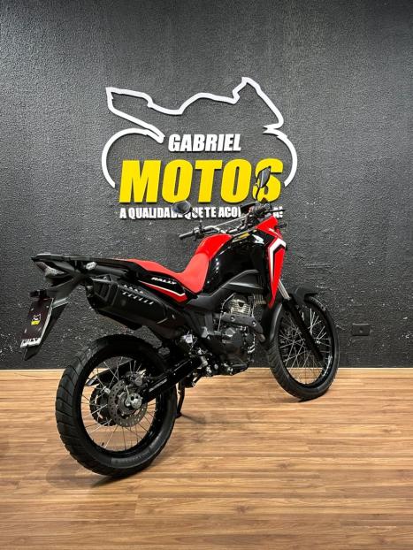 HONDA XRE 300 Sahara RALLYE, Foto 6