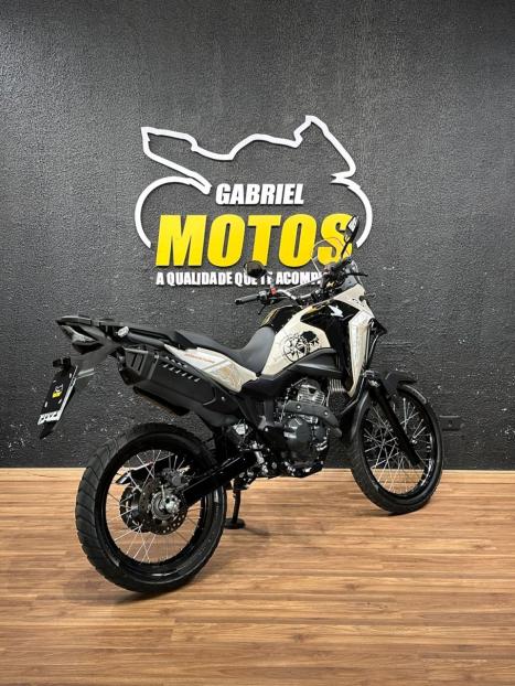 HONDA XRE 300 Sahara ADVENTURE, Foto 6