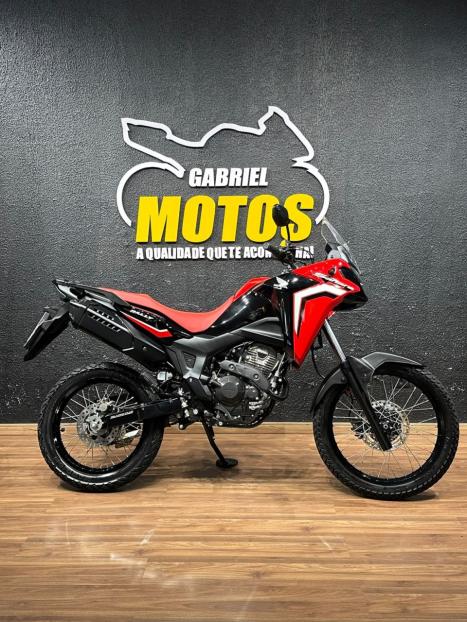 HONDA XRE 300 Sahara RALLYE, Foto 1