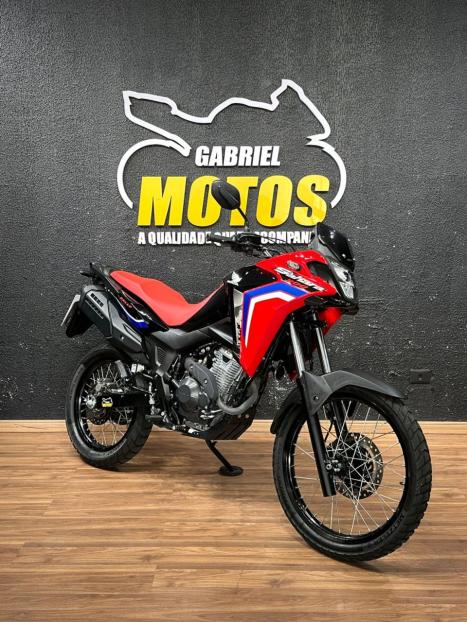 HONDA XRE 300 Sahara RALLYE, Foto 3