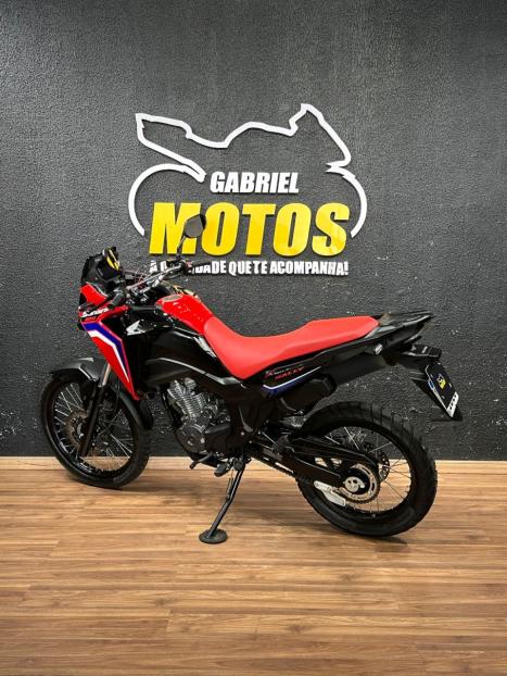 HONDA XRE 300 Sahara RALLYE, Foto 6