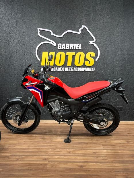 HONDA XRE 300 Sahara RALLYE, Foto 2