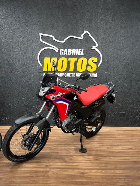 HONDA XRE 300 Sahara RALLYE, Foto 4