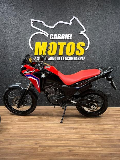 HONDA XRE 300 Sahara RALLYE, Foto 2