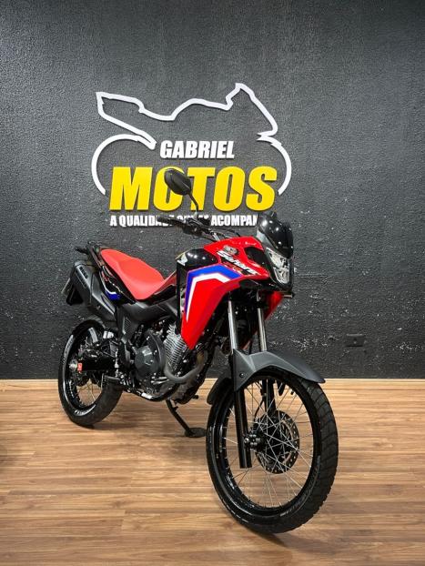 HONDA XRE 300 Sahara RALLYE, Foto 3