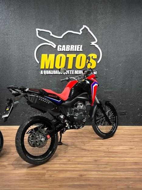 HONDA XRE 300 Sahara RALLYE, Foto 6