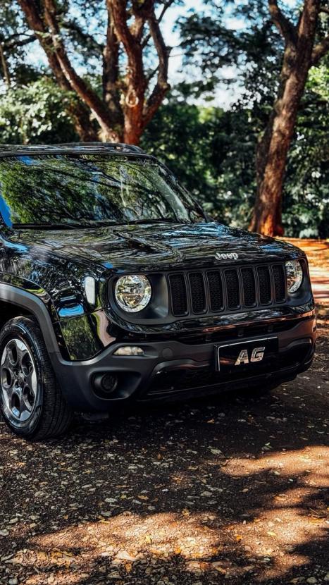 JEEP Renegade 1.8 16V 4P FLEX, Foto 3
