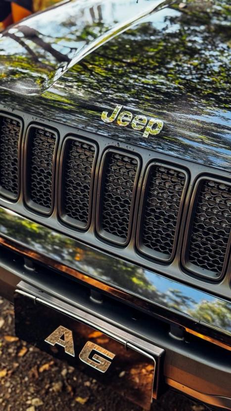 JEEP Renegade 1.8 16V 4P FLEX, Foto 11