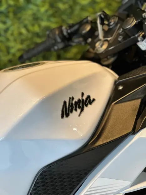 KAWASAKI Ninja 300 , Foto 8 KAWASAKI Ninja 300 , Foto 8
