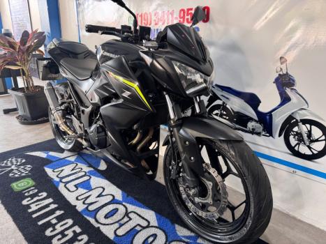 KAWASAKI Z 300 ABS, Foto 3