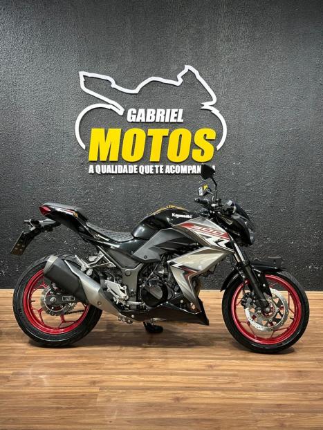 KAWASAKI Z 300 ABS, Foto 1