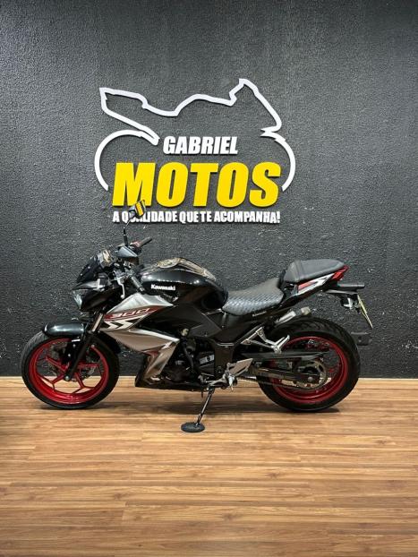 KAWASAKI Z 300 ABS, Foto 2