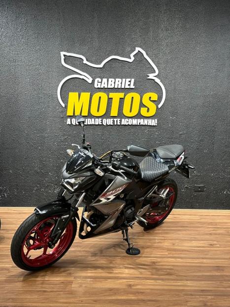 KAWASAKI Z 300 ABS, Foto 4