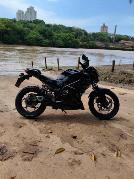KAWASAKI Z 300 ABS, Foto 1