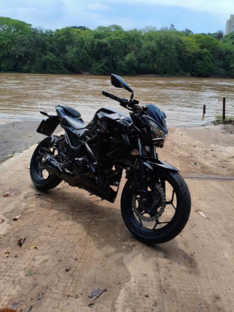 KAWASAKI Z 300 ABS, Foto 2