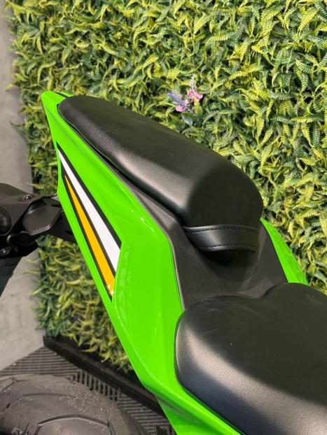 KAWASAKI ZX-4R , Foto 7