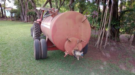 MASSEY FERGUSON 235 Cafeeiro, Foto 6