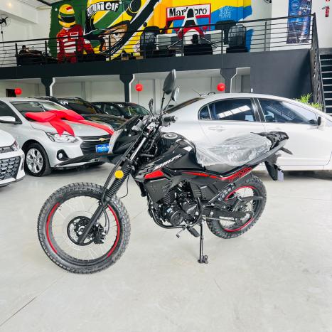 METALGLASS MG 175 , Foto 1